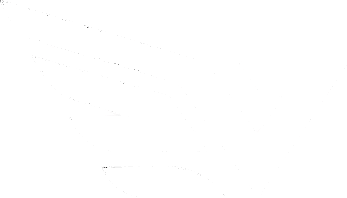 ValorWing Logo